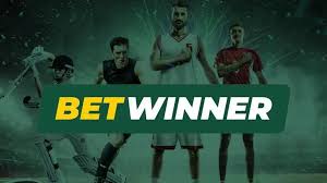 Exploring the Thrills of BetWinner Casino A Comprehensive Guide