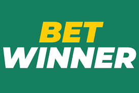 BetWinner Casino & Sportsbook The Ultimate Gaming Experience 508377020