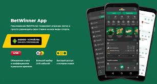 BetWinner Casino & Sportsbook The Ultimate Gaming Experience 508377020