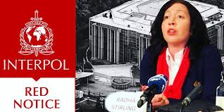 Understanding the Process of Interpol Red Notice Removal 1345348004