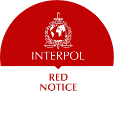 Understanding the Process of Interpol Red Notice Removal 1340887098