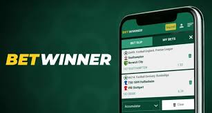 BetWinner Bookmaker A Comprehensive Review and Guide