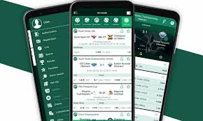 Everything You Need to Know About BetWinner Brazil Casino Everything You Need to Know About BetWinner Brazil Casino