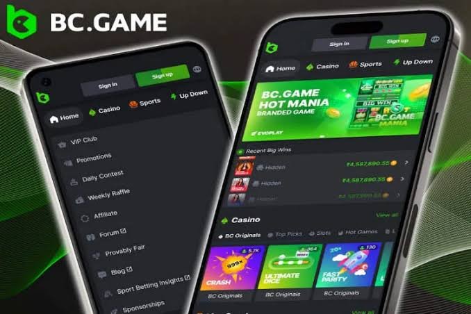 Step-by-Step Guide to the BC.Game Registration Process 861178411 Step-by-Step Guide to the BC.Game Registration Process 861178411